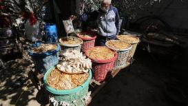 الفلسطيني نبيل الروزي نجح في زراعة عيش الغراب داخل منزله بأقل تكلفة ممكنة في قطاع غزة