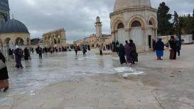 مبادرة لتنظيف المسجد الأقصى المبارك استعداد لاستقبال شهر رمضان