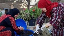 صور | نساء فلسطينيات يقمن بتجهيز "عصير الخروب البلدي" في بلدة دير استيا قضاء سلفيت.