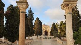 إطلالة الصباح من باحات المسجد الأقصى المبارك