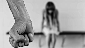 وزارة المرأة-العنف