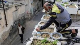 مواطن في غزة يحوّل سطح منزله البسيط إلى حديقة لإنتاج الخضروات