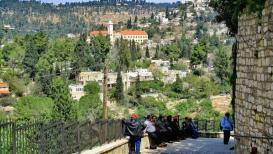 جمال الطبيعة في بلدة عين كارم جنوب غرب القدس المحتلة
