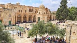 أجواء رائعة من المسجد الأقصى المبارك صباح اليوم السبت بعدسة/ فواز طوباسي