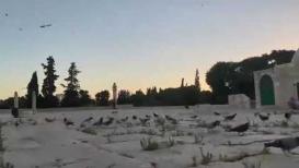 أجواء رائعة في المسجد الأقصى المبارك فجر اليوم السبت