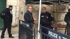 المقدسي نظام أبو رموز