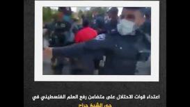 اعتداء قوات الاحتلال على متضامن رفع العلم الفلسطيني في حي الشيخ جراح