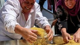 فلسطينيات يُجهزن "المفتول" وهي أكلة تتصدر موائد الفلسطينيين الثقيلة