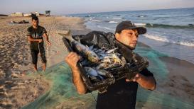 صيادون فلسطينيون من محافظة خان يونس يمارسون عملهم على شاطئ البحر الأبيض المتوسط