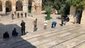 أكثر من 300 مستوطن يقتحمون المسجد الأقصى ويؤدون صلوات تلمودية