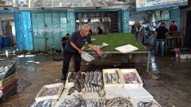 بحر غزة يجود بالأسماك مع توسيع مساحة الصيد
