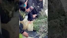 في مشهد مؤثر.. الأسيرة خالدة جرار تنهار بالبكاء أمام قبر ابنتها سها التي حرمها السجن من وداعها