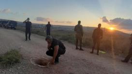6 أسرى فلسطينيين يحررون أنفسهم من سجن #جلبوع الإسرائيلي عبر حفر نفق أرضي