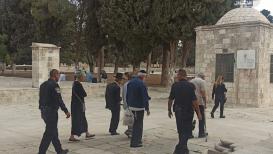 اقتحام المستوطنين المسجد الأقصى صباح اليوم الأربعاء 13-10-2021