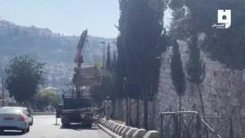 إحاطة المقبرة اليوسفية بالقدس بالقضبان الحديدية مع طمس قبورها بالتراب تمهيدًا لإقامة حديقة عليها