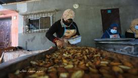 نساء فلسطينيات يقومنَ بفرز التمور خلال موسم قطف البلح في مدينة دير البلح وسط قطاع غزة