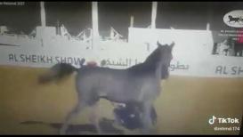 وفاة الشاب نسيم عمري من قرية صندلة بأزمة قلبية أثناء عرض للخيل في مدينة أريحا.