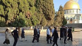 اقتحام المستوطنين المسجد الأقصى اليوم الأربعاء 3-11-2021