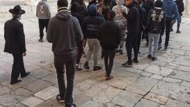 مجموعات كبيرة من المستوطنين تقتحم باحات المسجد الأقصى المبارك