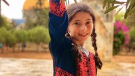 قطف الزيتون من باحات المسجد الأقصي المبارك بعدسة: آلاء الصوص