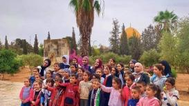 أطفال يشاركون في موسم قطف الزيتون بالمسجد الأقصى المبارك