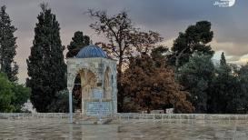 الأجواء الممطرة من باحات المسجد الأقصى