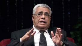 حسن نافعة.jpg
