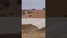 توغل محدود لجرافات الاحتلال شمال قطاع غزة وتدمير لمحاصيل "الفراولة"