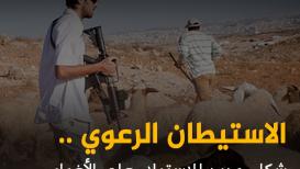 الاستيطان الرعوي.. شكل جديد للاستيلاء على الأغوار