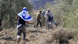 اعتداءات المستوطنين.jpg