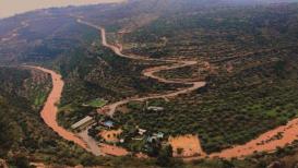 جمال الطبيعة والأمطار في الوادي الواقع بين شمال غرب رام الله وكفر الديك بسلفيت
