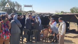 وفود من الناصرة، عرابة،  شعفاط، سلوان و قلنديا تصل قرية العراقيب بالنقب.