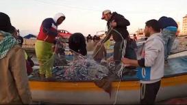 شاهد .. صيد وفير مع انحسار المنخفض