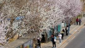أجمل محطة حافلات في مدينة داليان الصينية