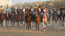 شبان يقومون بعروض استعراضية لركوب الخيل في قطاع غزة