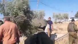 استنفار قوات الاحـــتلال في مكان إطلاق النار قرب مستوطنة "كريات أربع" المقامة على أراضي الخليل