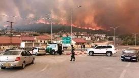نحو 40 حالة وفاة وعشرات الإصابات بحرائق غابات في ولايات شرقي الجزائر