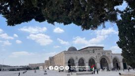 صور من المسجد الأقصى المبارك