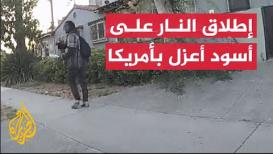 شاهد | الشرطة تطلق النار على مشرد أسود أعزل في أمريكا