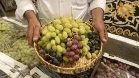 افتتاح مهرجان الأيام التسويقية للعنب والمنتجات النسوية الرابع في بلدة الخضر جنوب بيت لحم تصوير: أحمد مزهر