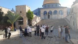 مئات المستوطنين يقتحمون المسجد الأقصى في ثاني أيام "عيد العرش" اليهودي