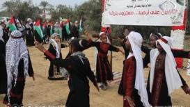 فعاليات قطف الزيتون بأجواء التراث الفلسطيني في دير البلح