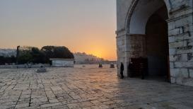 لقطات من ساحات المسجد الأقصى المبارك هذا الصباح