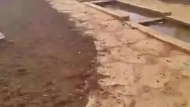 صدمة العمر.. المزارع محمود عيسى معمر من قرية قريوت قضاء نابلس يفاجأ بسرقة أرضه وخلع أشجارها وتحويلها متنزها لمستوطن