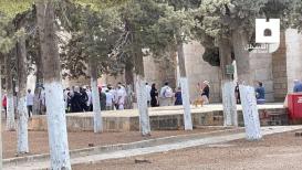 اقتحامات المستوطنين للمسجد الأقصى بحراسة قوات الاحتلال اليوم