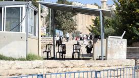 مستوطنون يقتحمون باحات المسجد الإبراهيمي  تصوير: مشهور وحواح