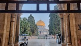 صور صباحية من رحاب المسجد الأقصى