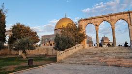 صور من باحات المسجد الأقصى المبارك