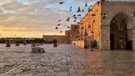 شروق الشمس على ساحات المسجد الأقصى