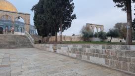 الأجواء في ساحة المسجد الأقصى المبارك